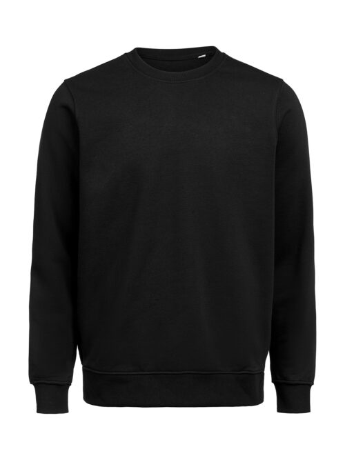 CREWNECK REGULAR